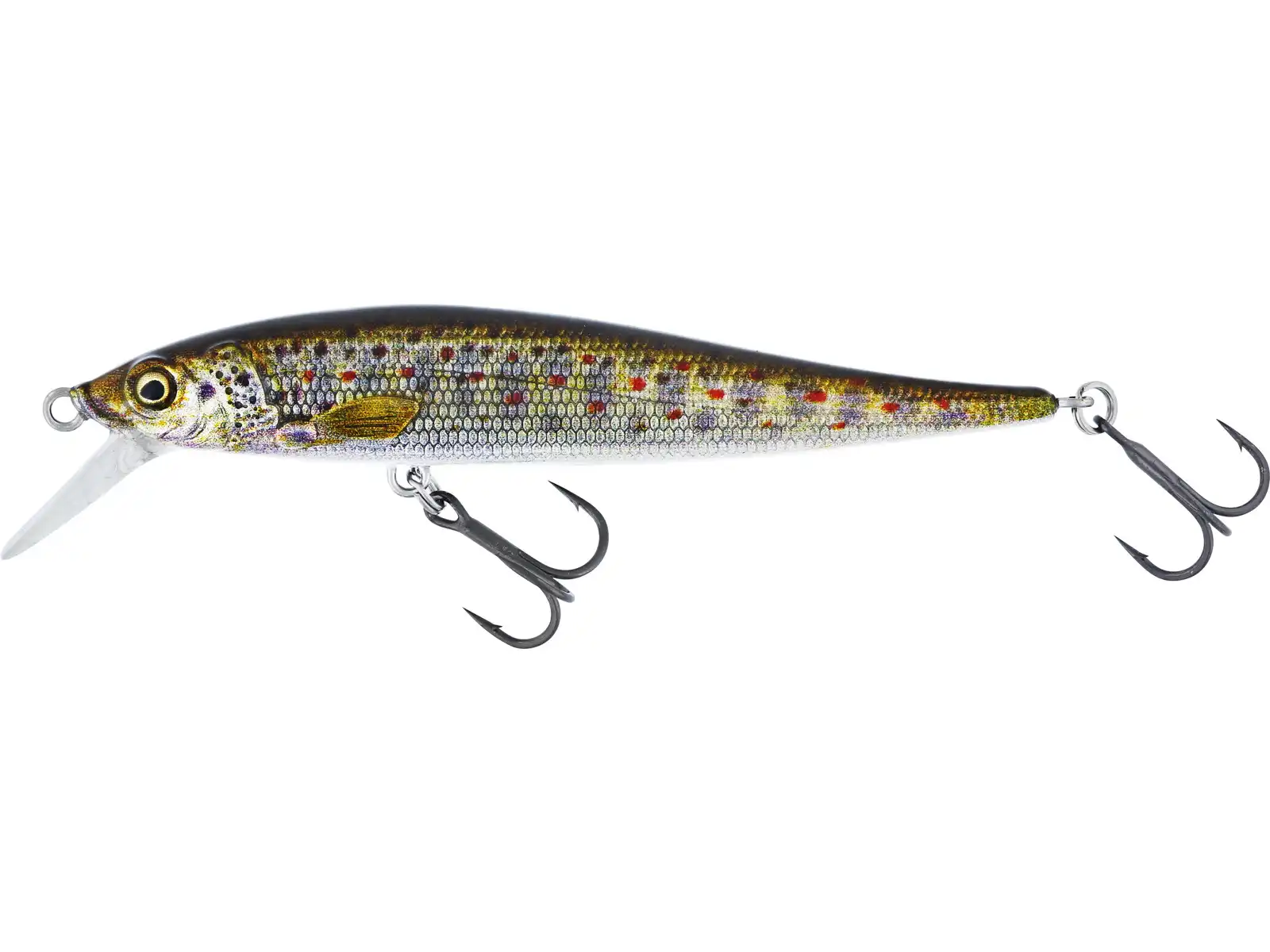 Brown Trout Fry