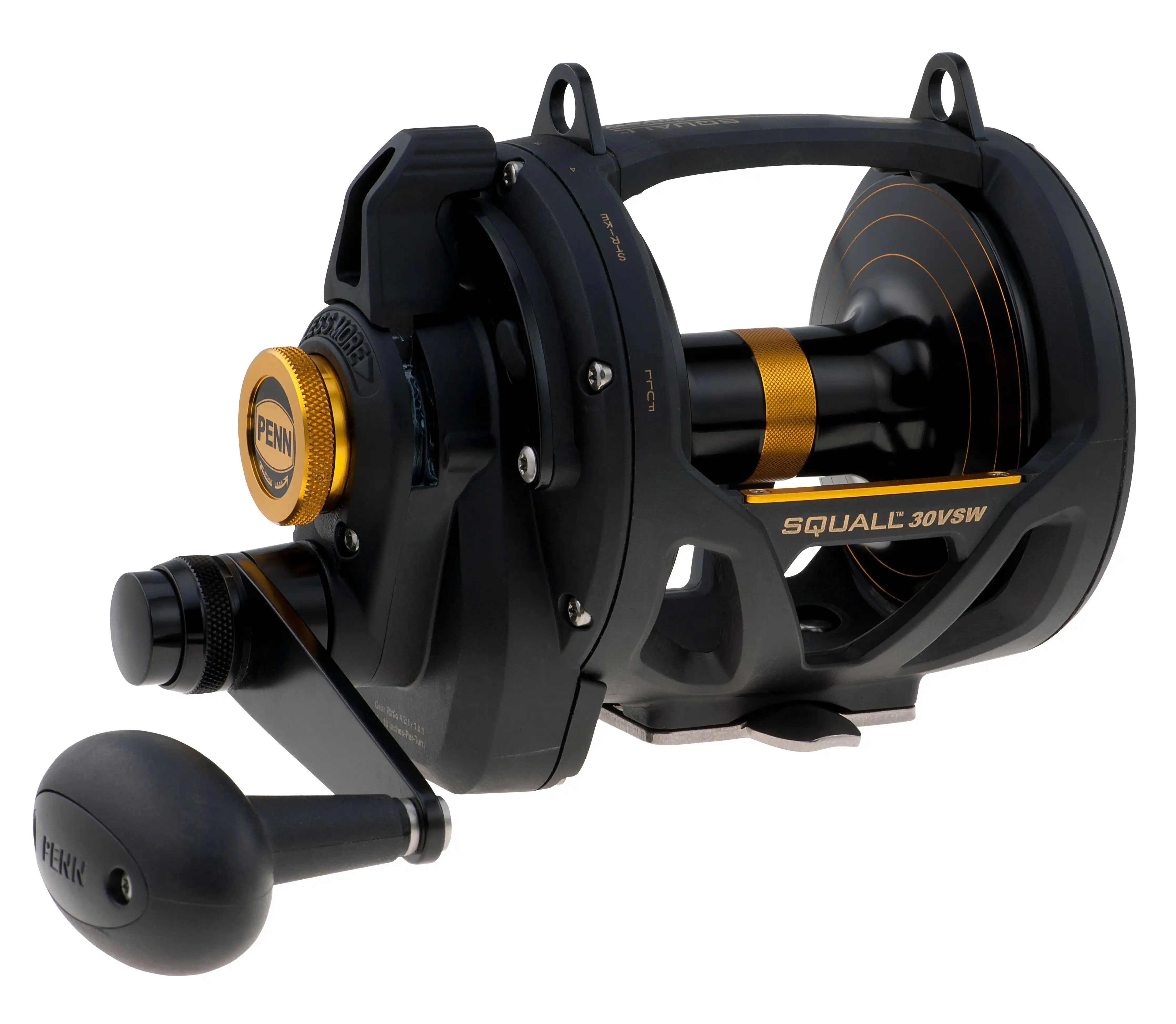 PENN Squall 30 VSW LD 2 Speed