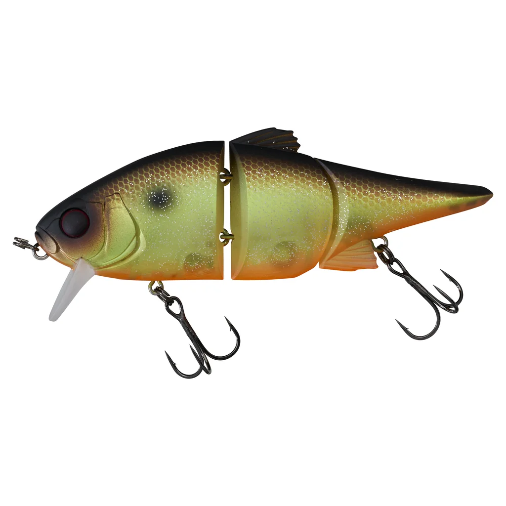 Muddy Roach
