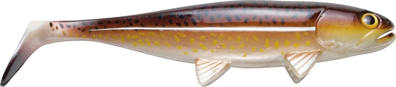 Jackson The Sea Fish 28cm COD Dorsch