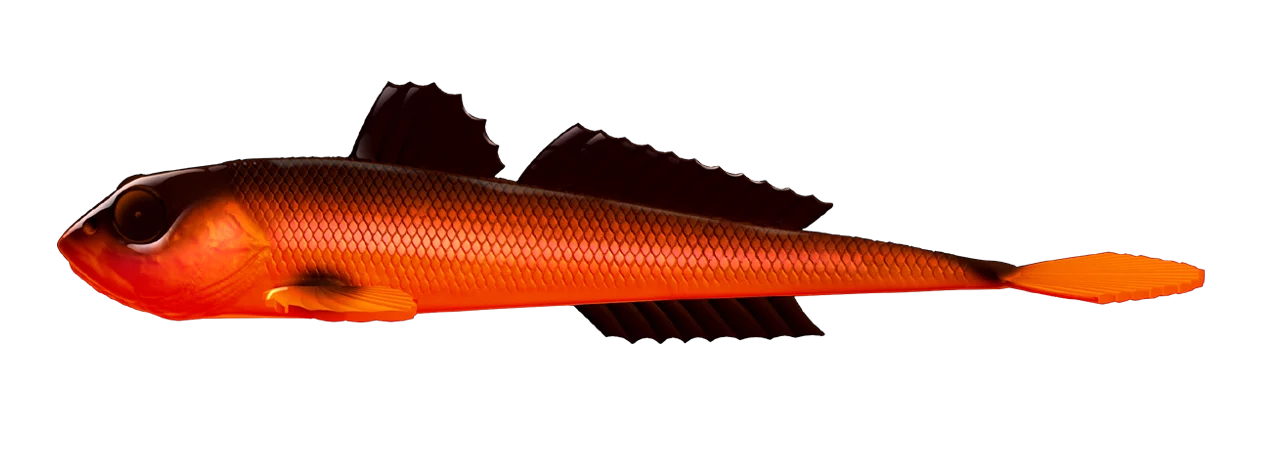 #011 Hot Orange