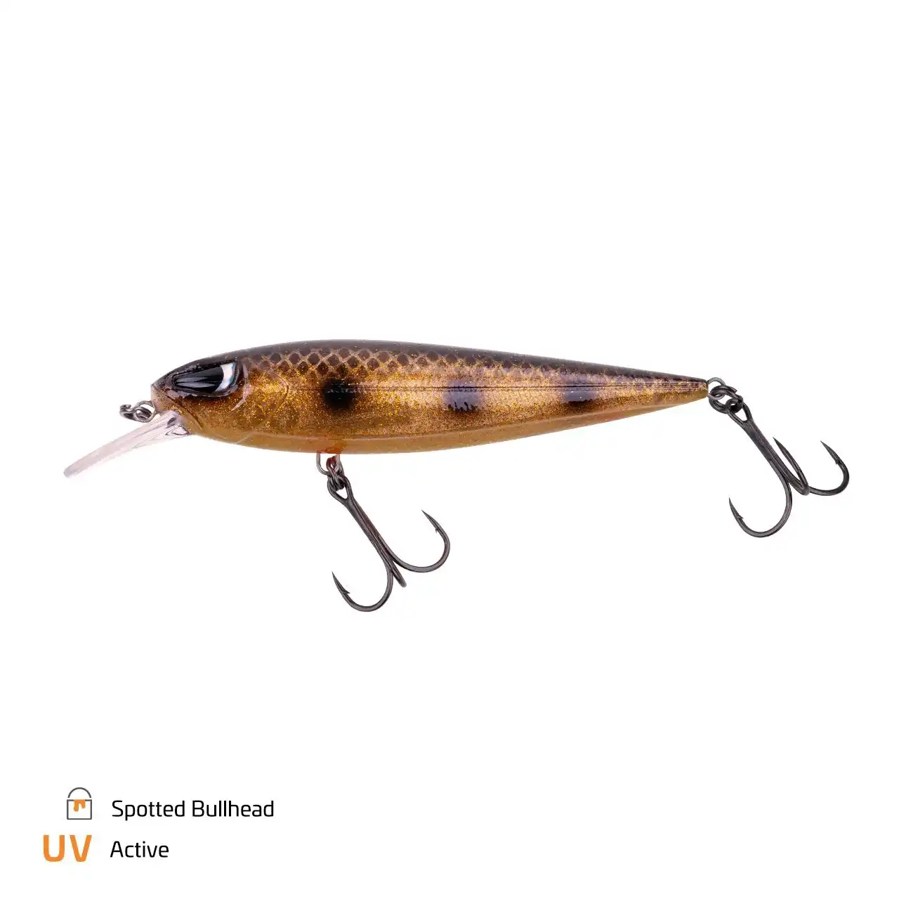 Spotted Bullhead