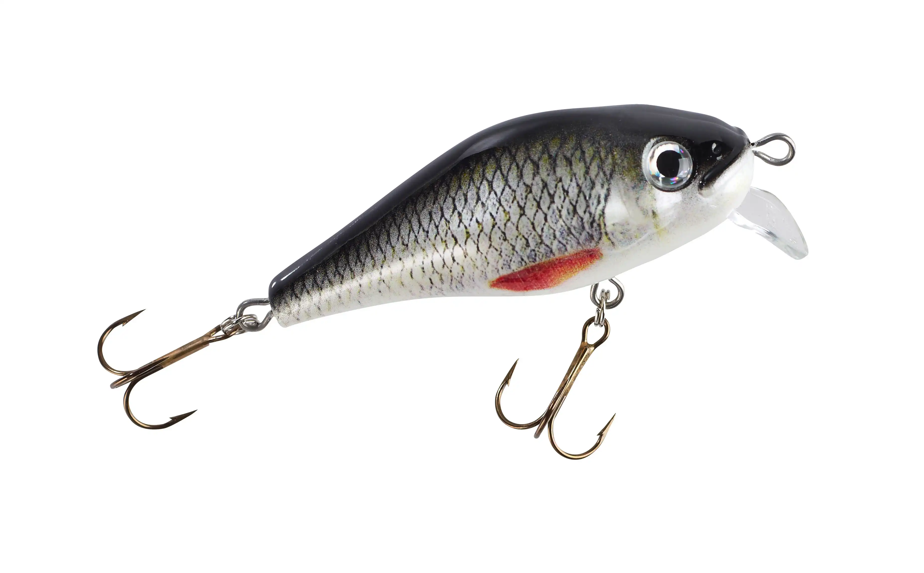 Weißfisch