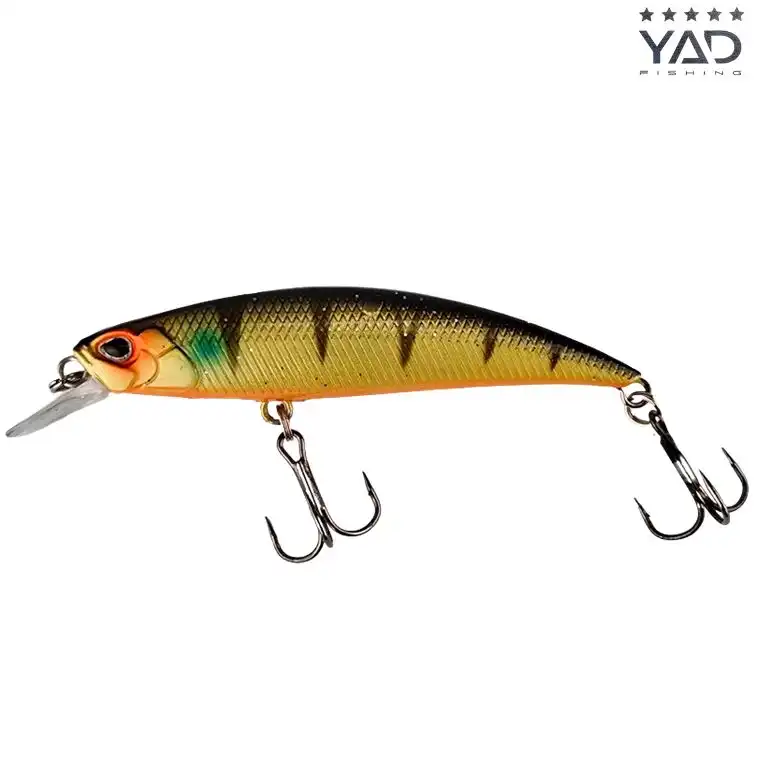 Amber Stripe Yellow