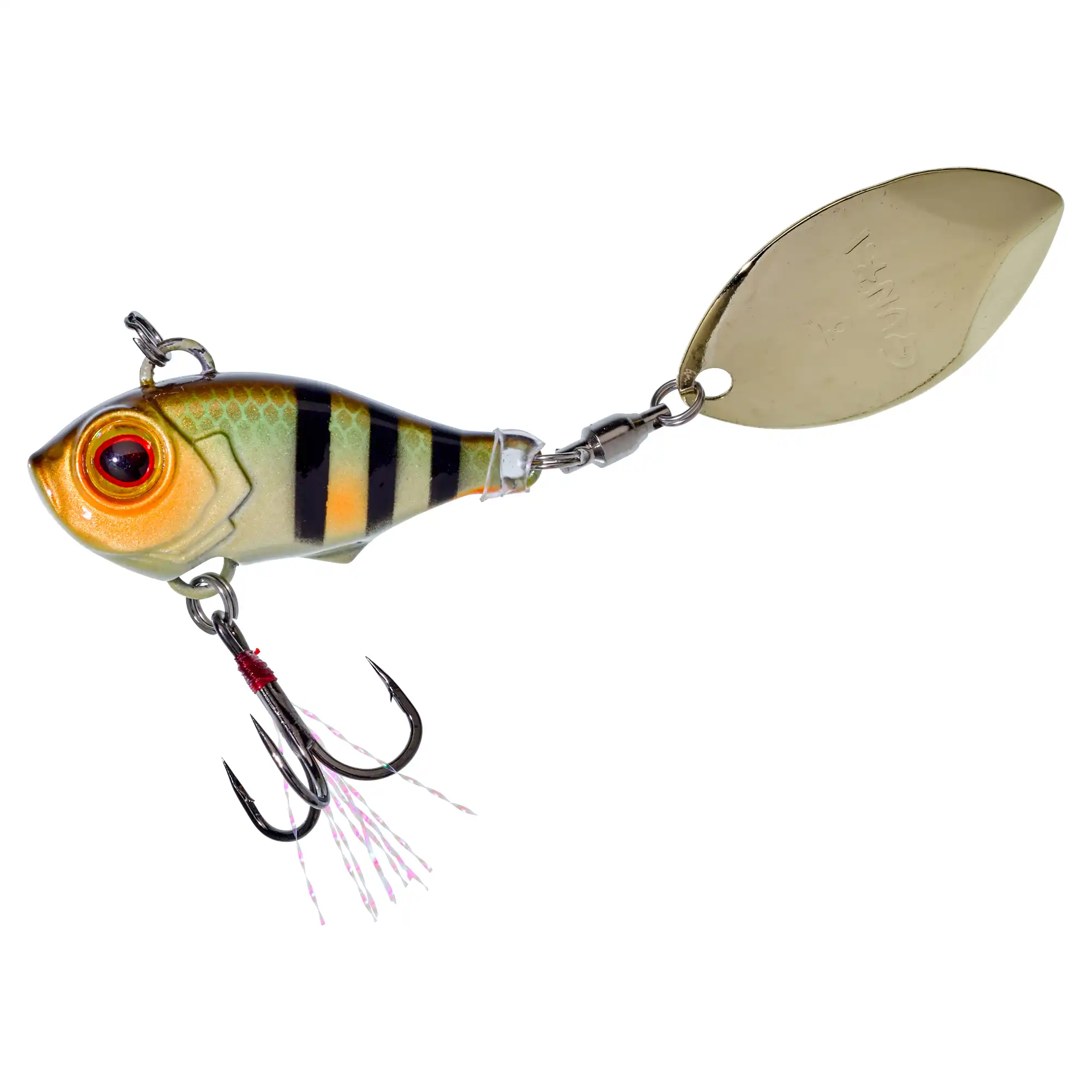 Wild Perch