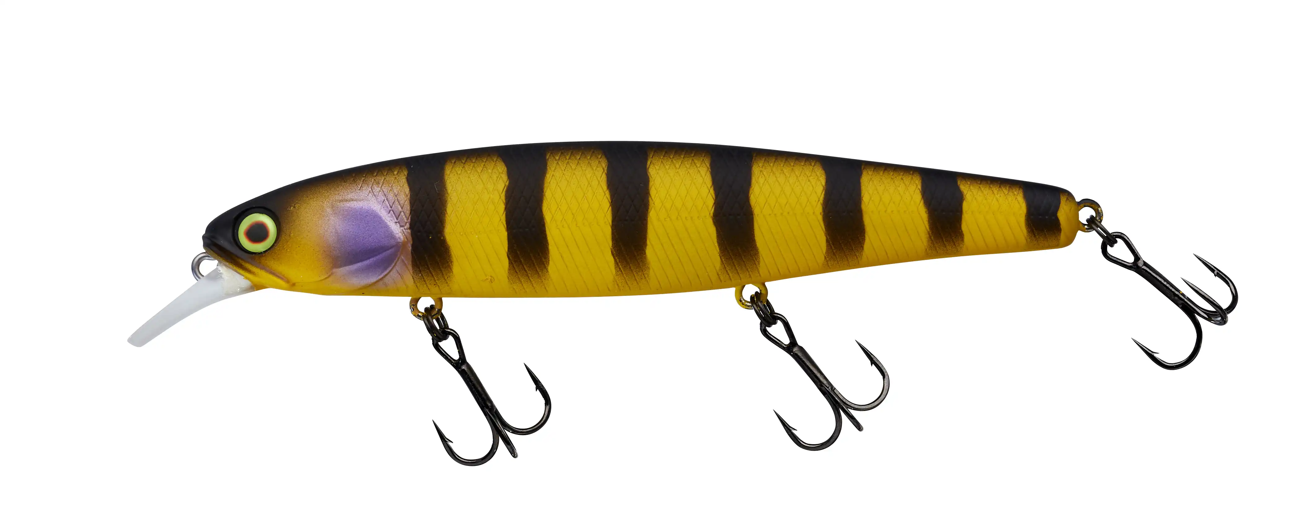 Zander Bee