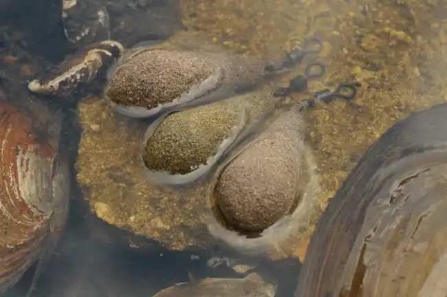 Korda Distance Casting 70g