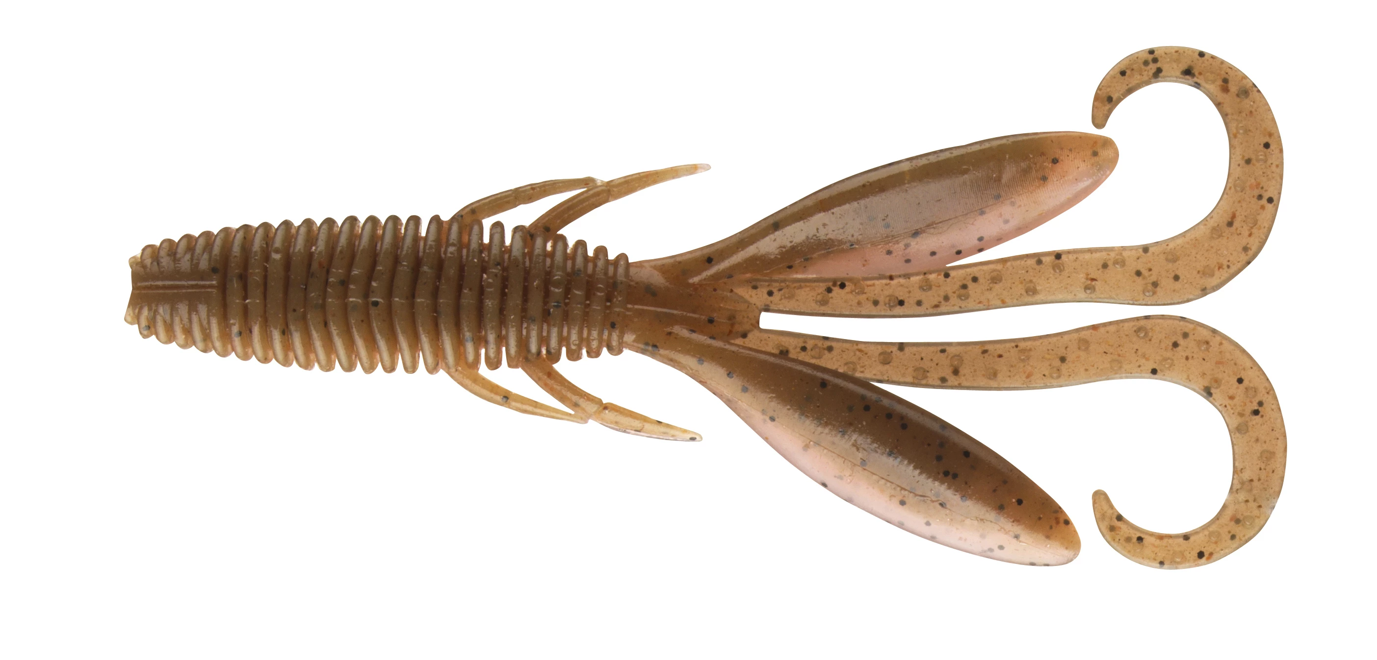 Molted Shrimp