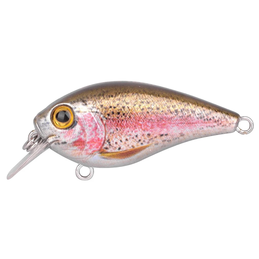 Rainbow Trout