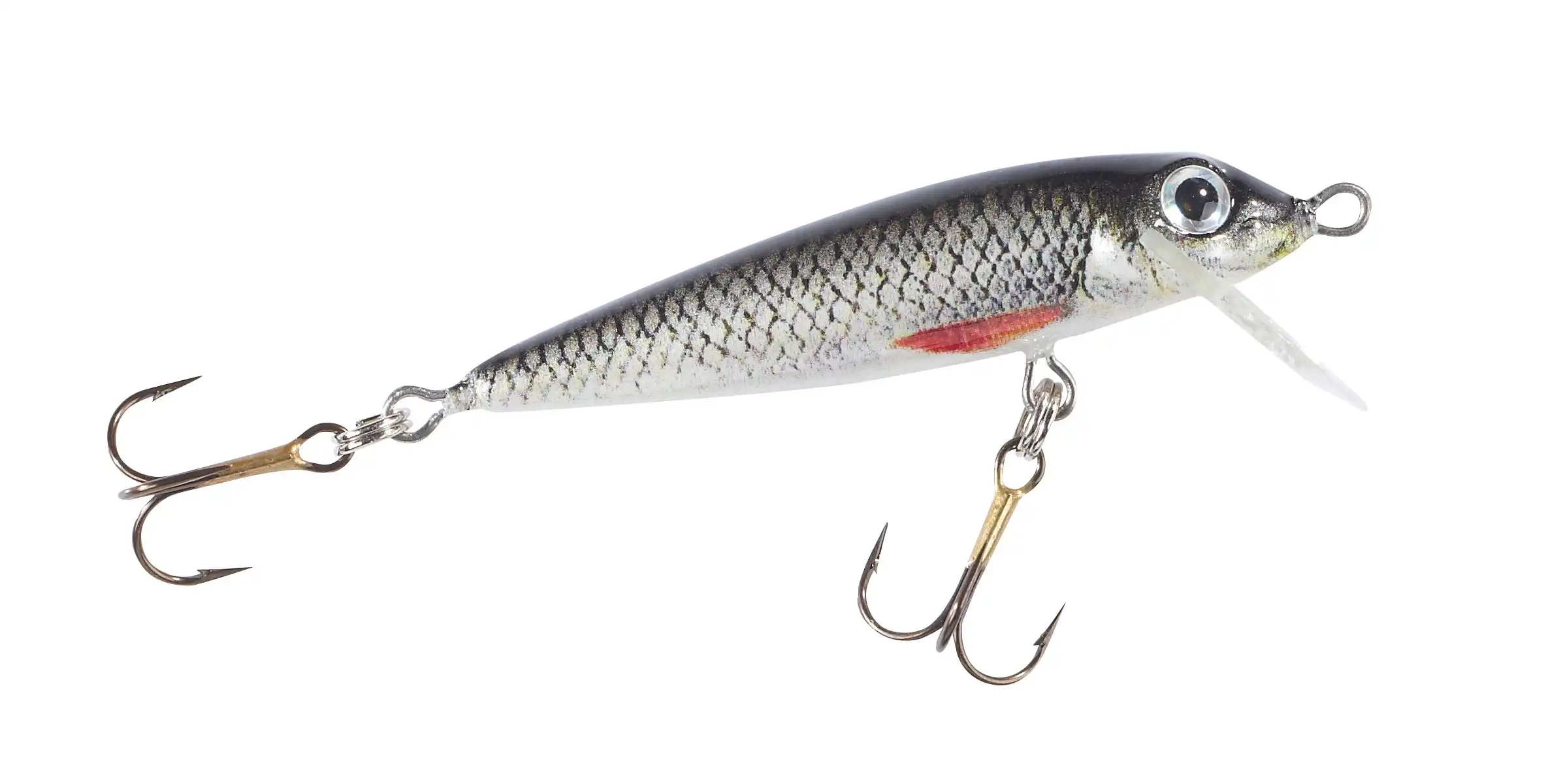 Weißfisch