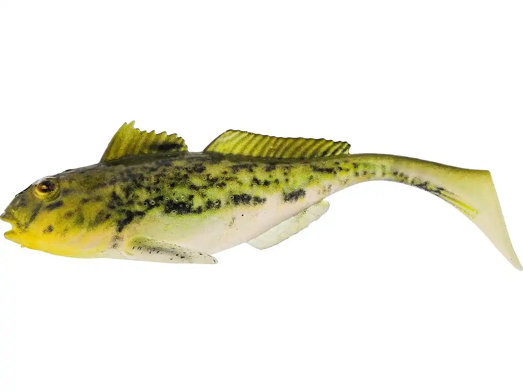 Headlight Goby