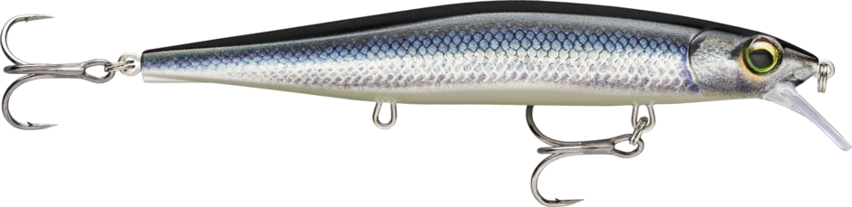 Live Vendace