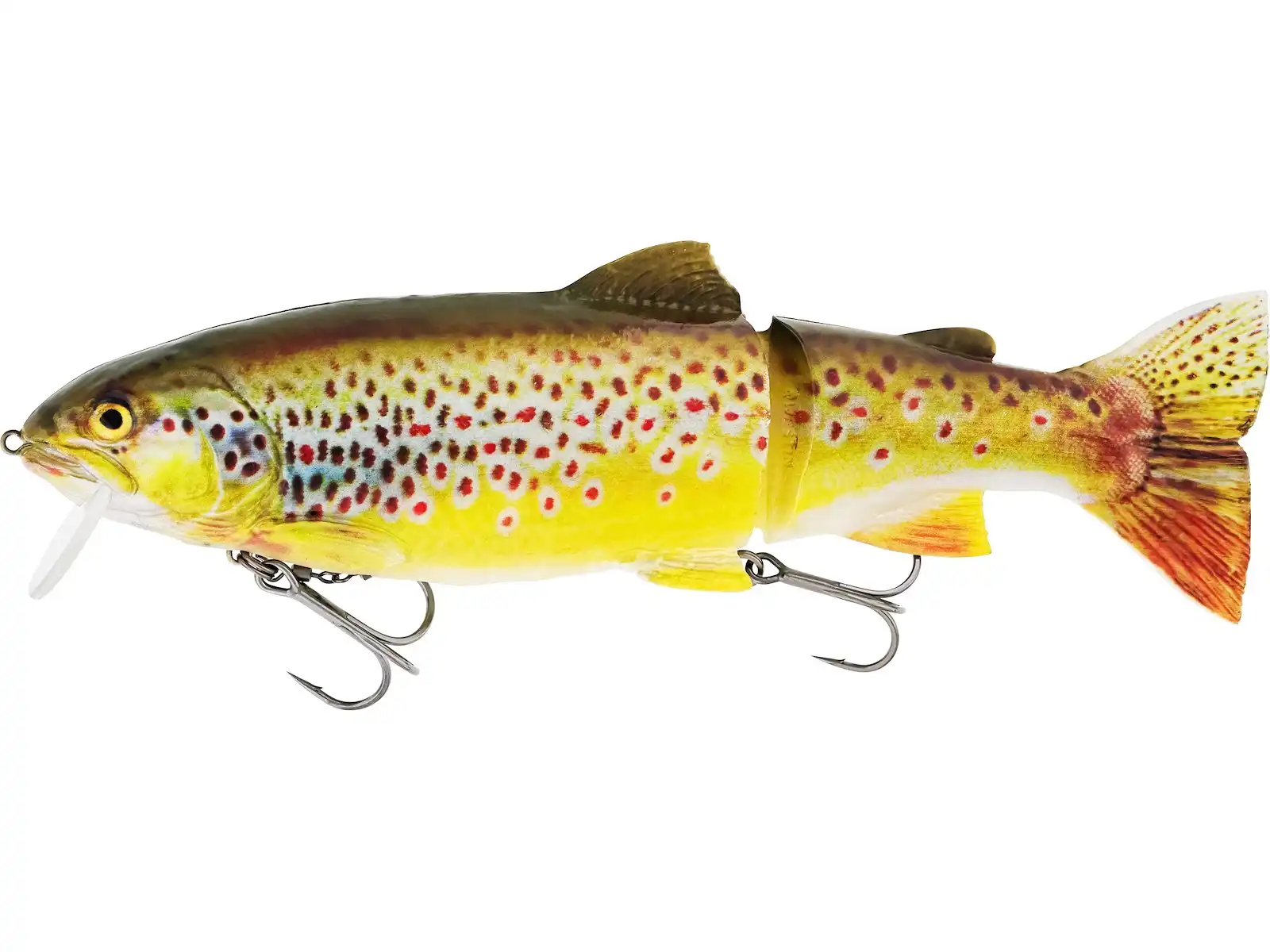 Real Trout