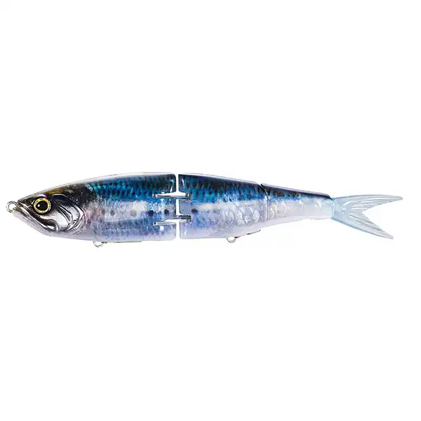 Tr Sardine