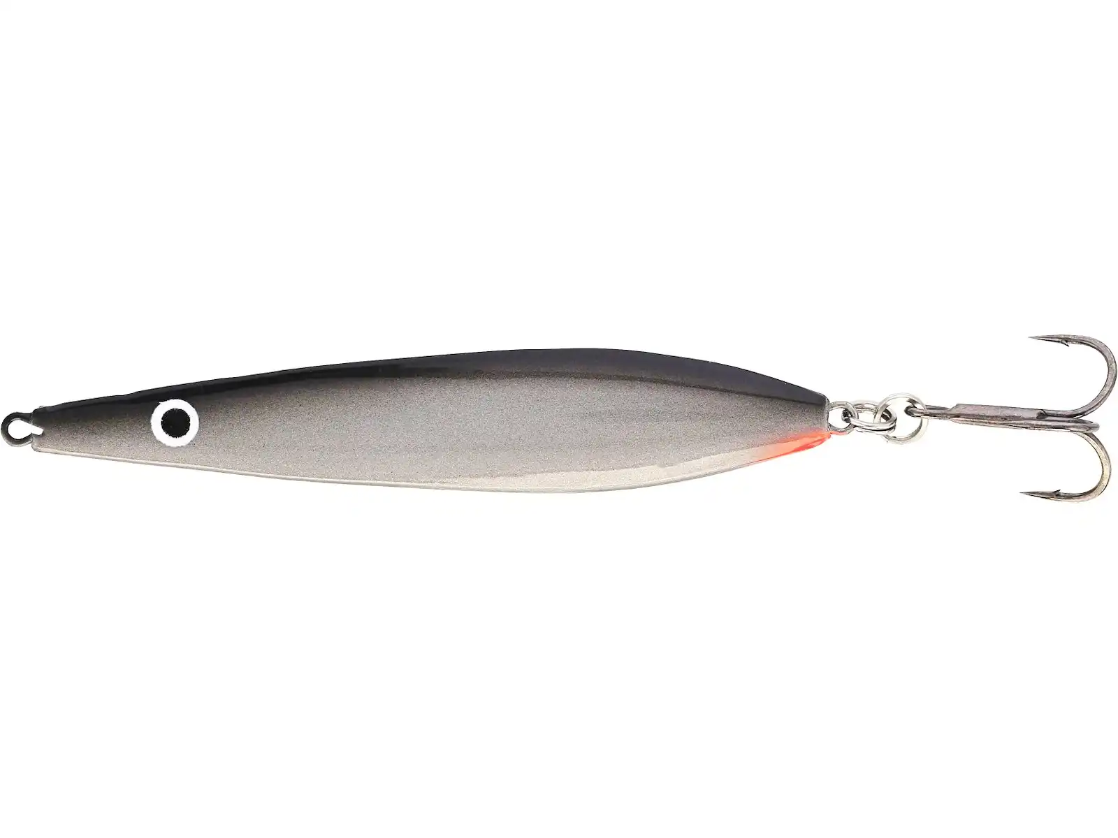 Silver Shiner