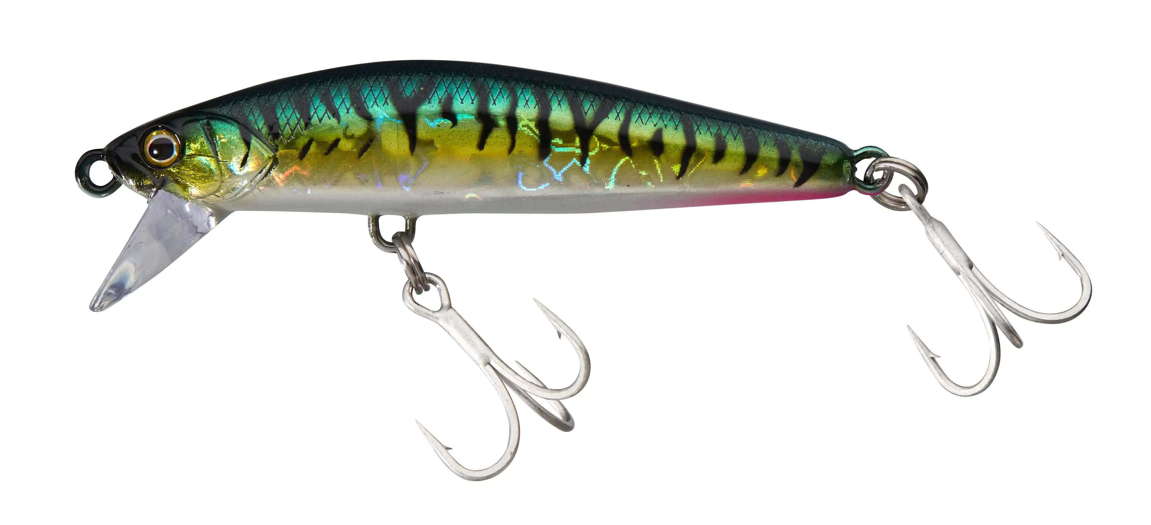 Green Mackerel