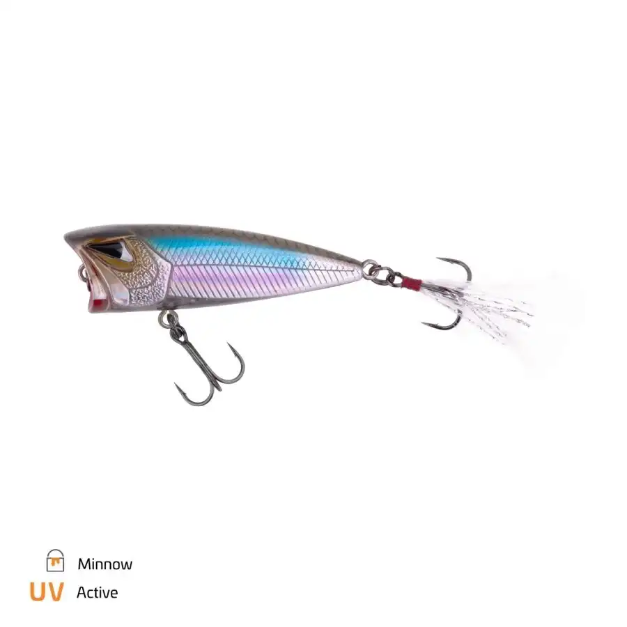 Minnow