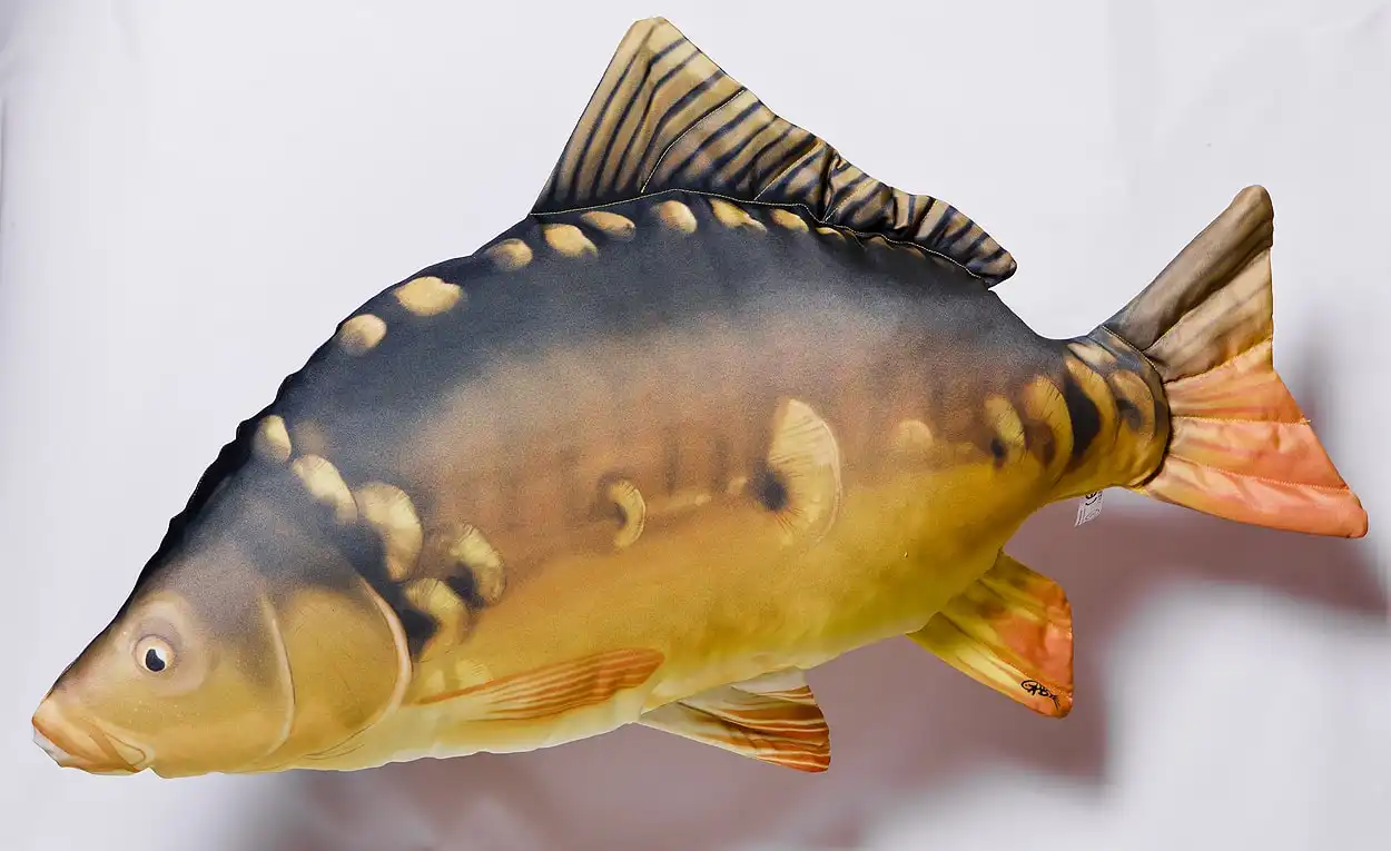 Gaby Carp 90cm