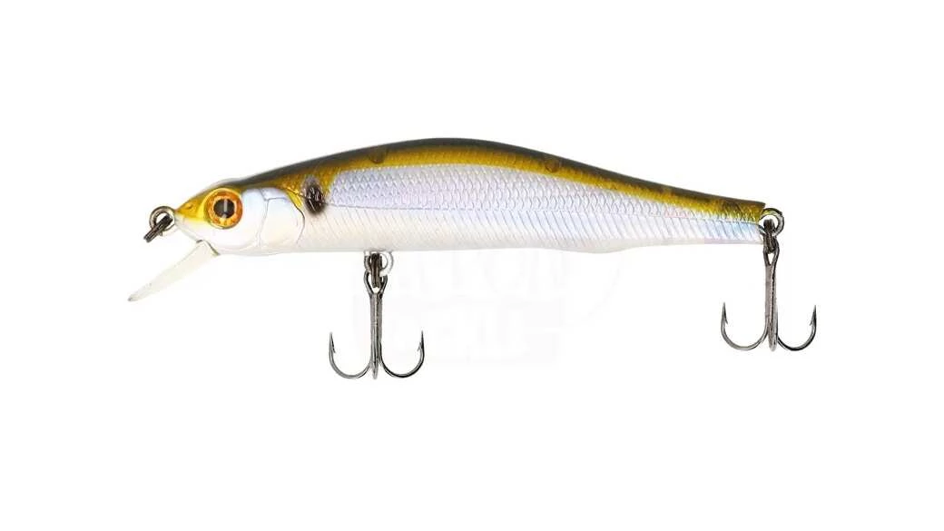 Ghost Threadfin Shad