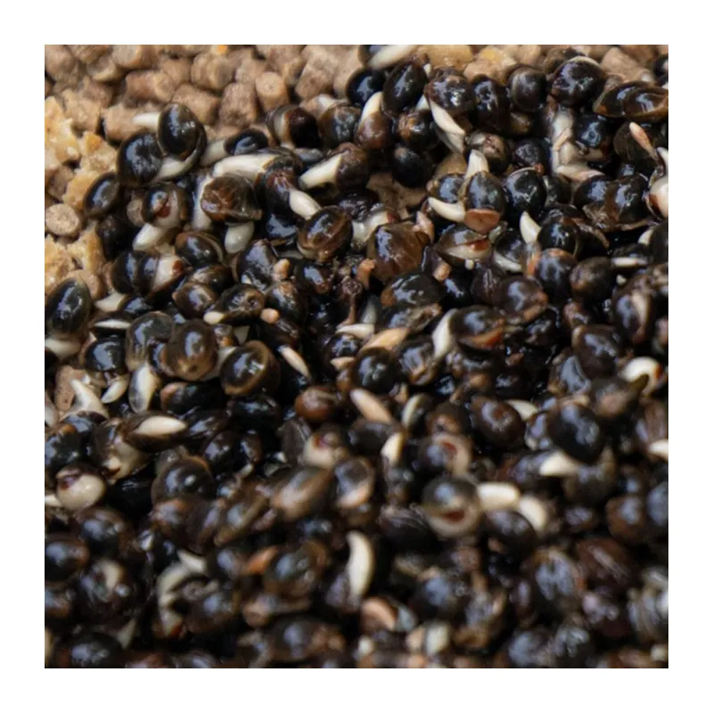 Hempseed & Sweetcorn