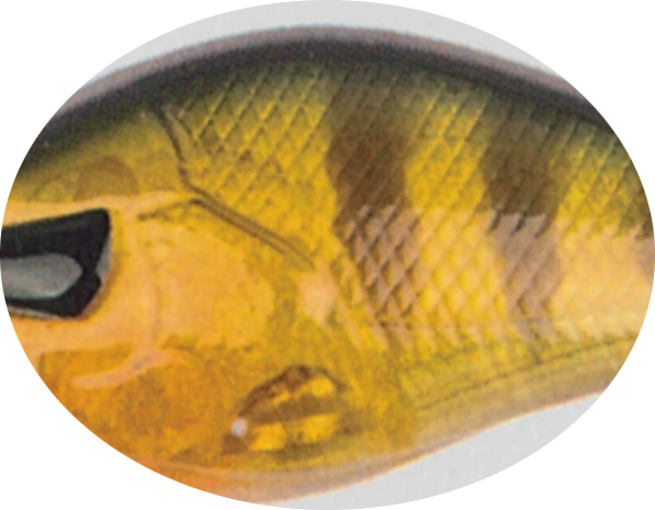 Zeck Hitch (0,8m) 7,5cm Perch