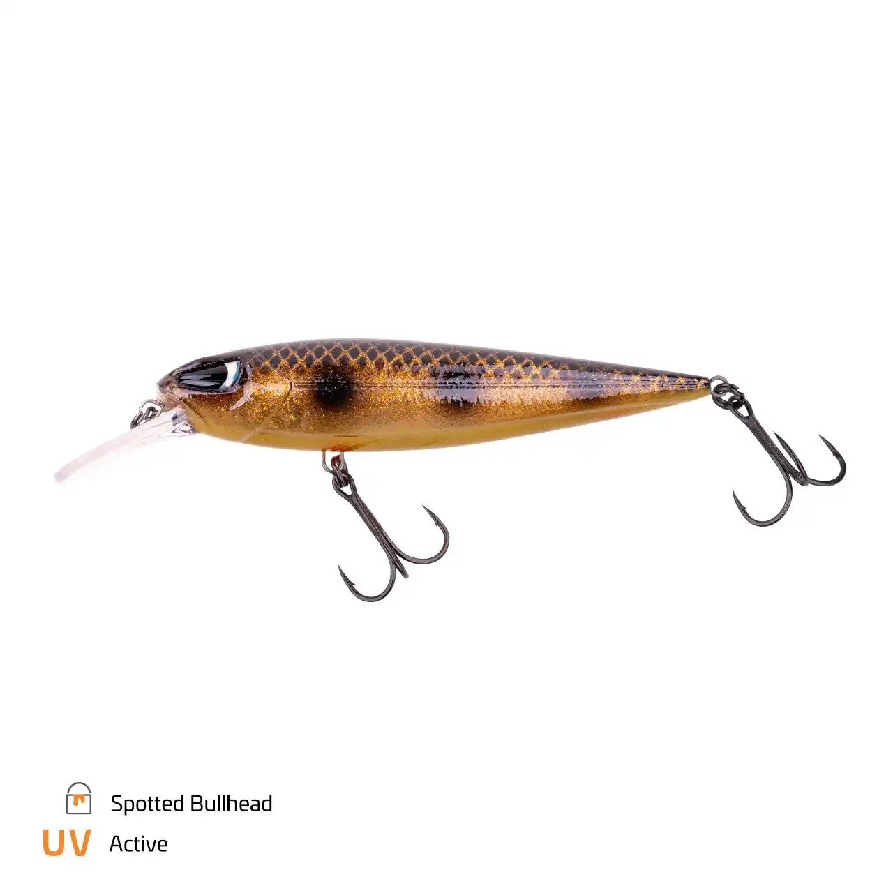 Spotted Bullhead