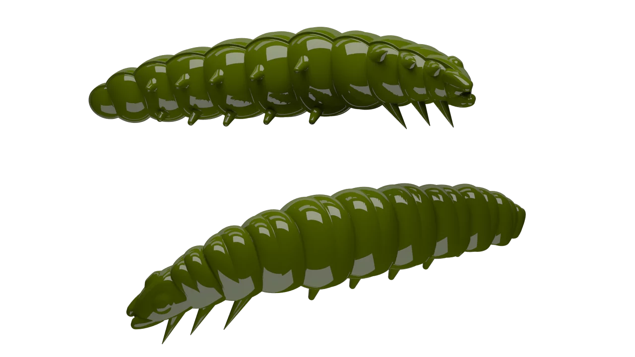 #031 olive