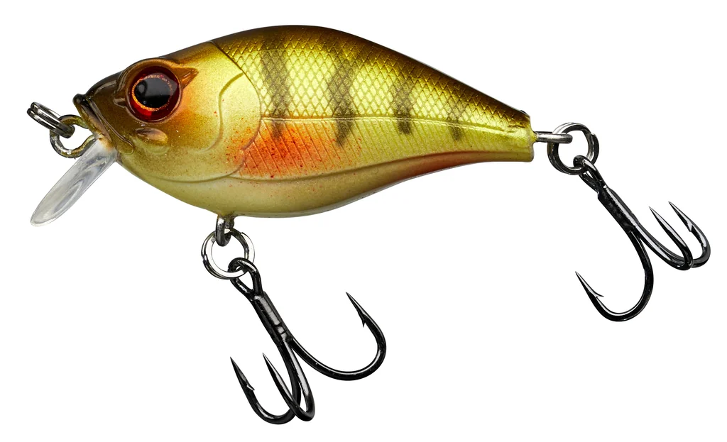 Perch
