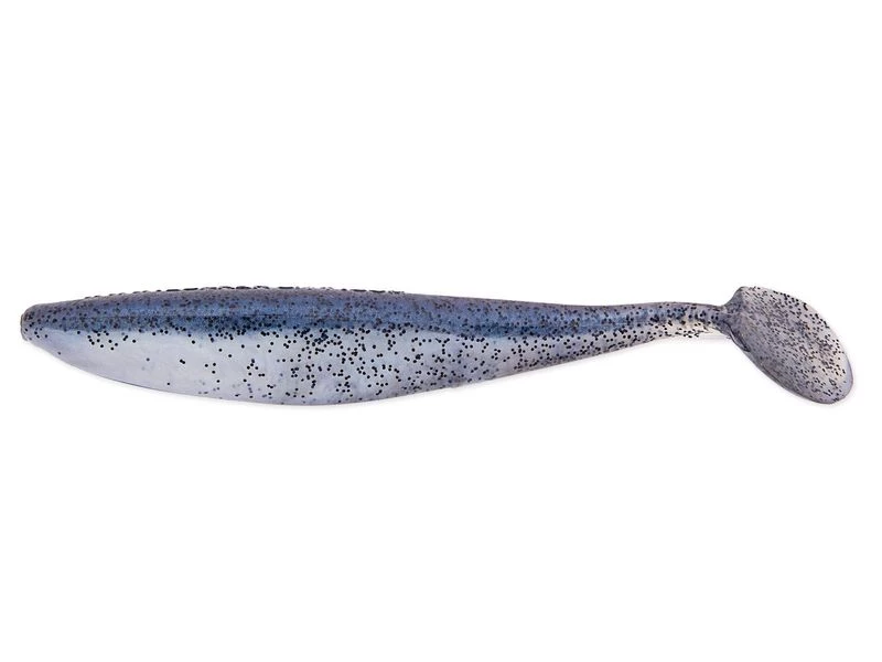 Blueback Shad