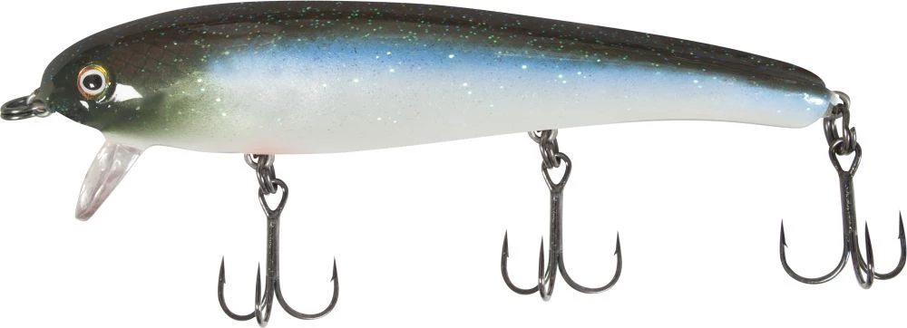 Blue Baitfish