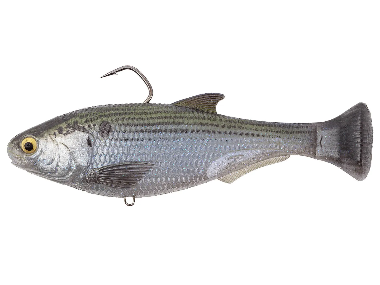Mossback