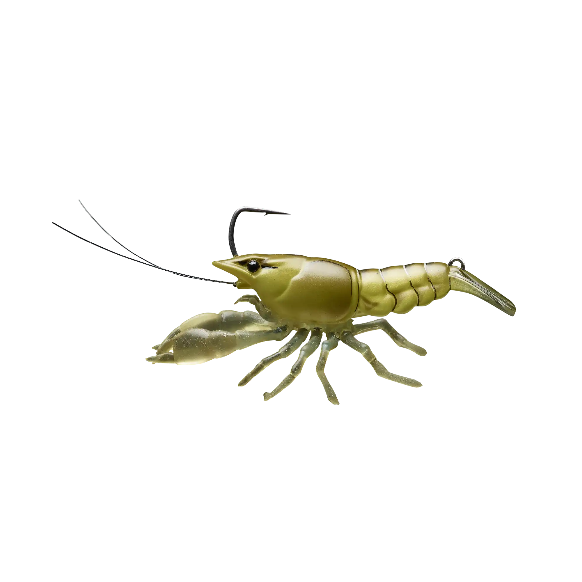 Moss Craw