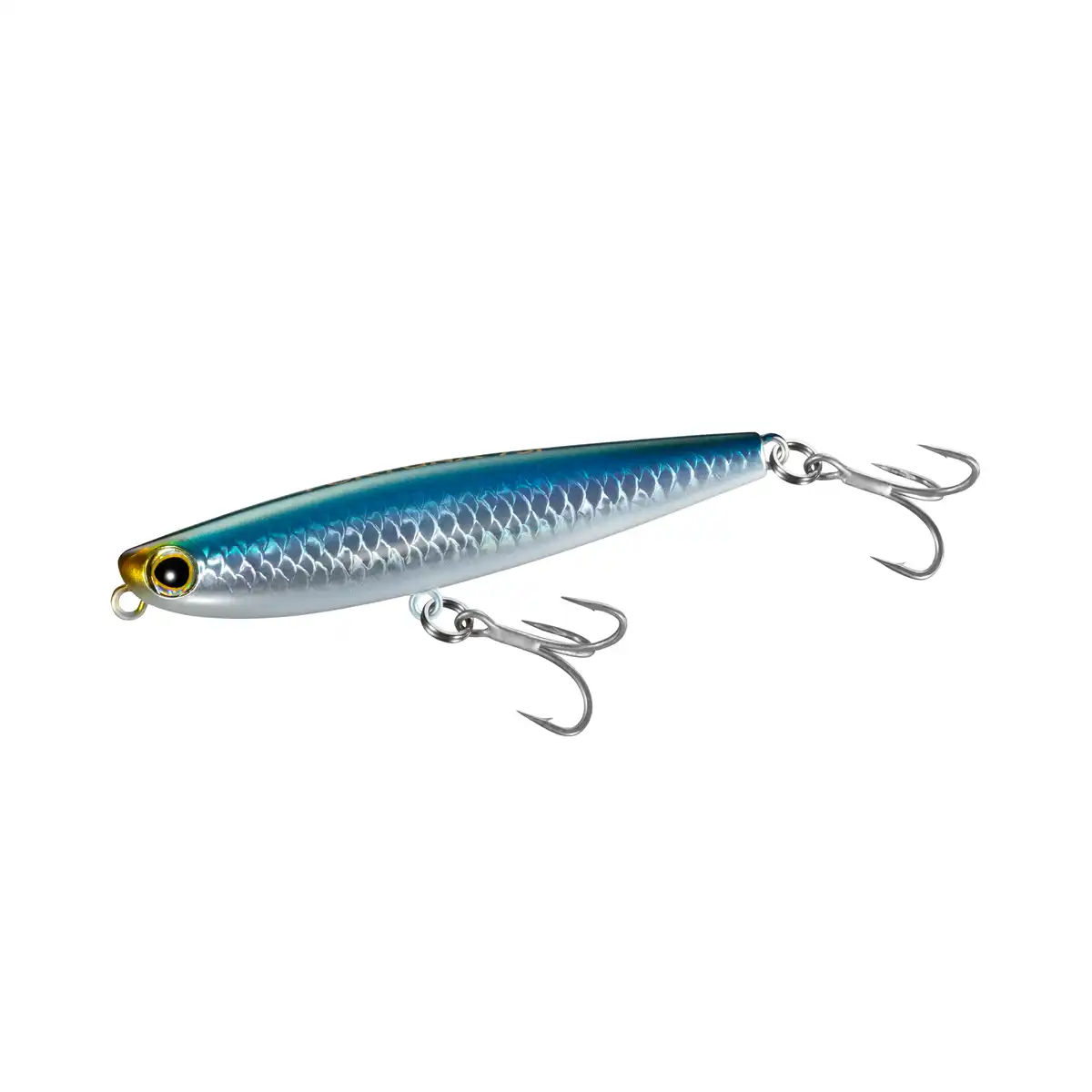 003 N Anchovy