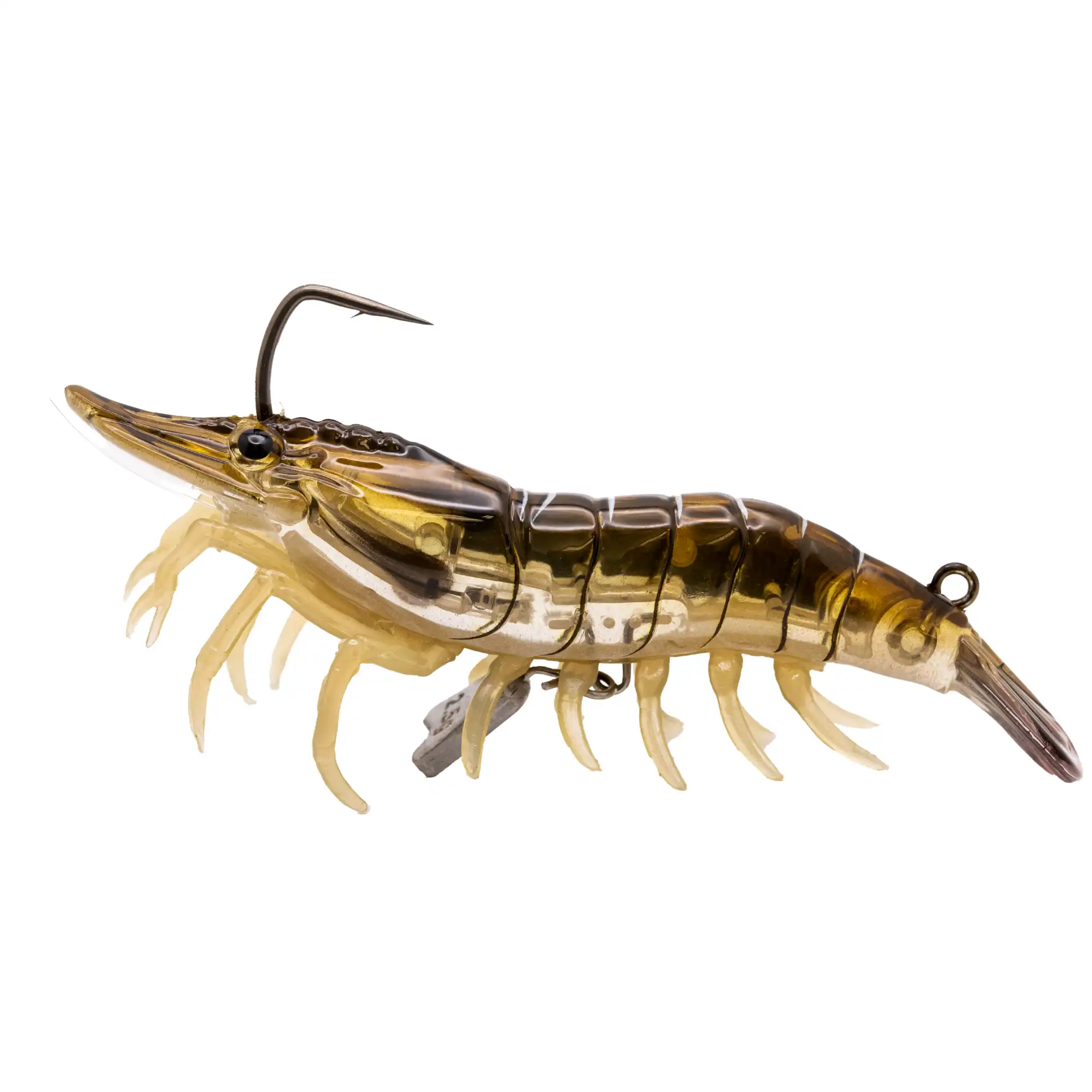 Brown Shrimp