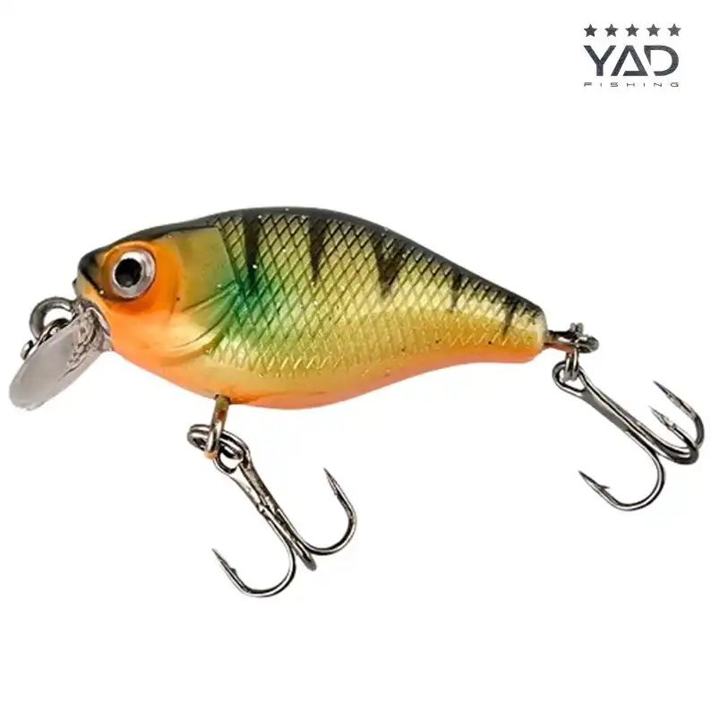 Amber Stripe Yellow