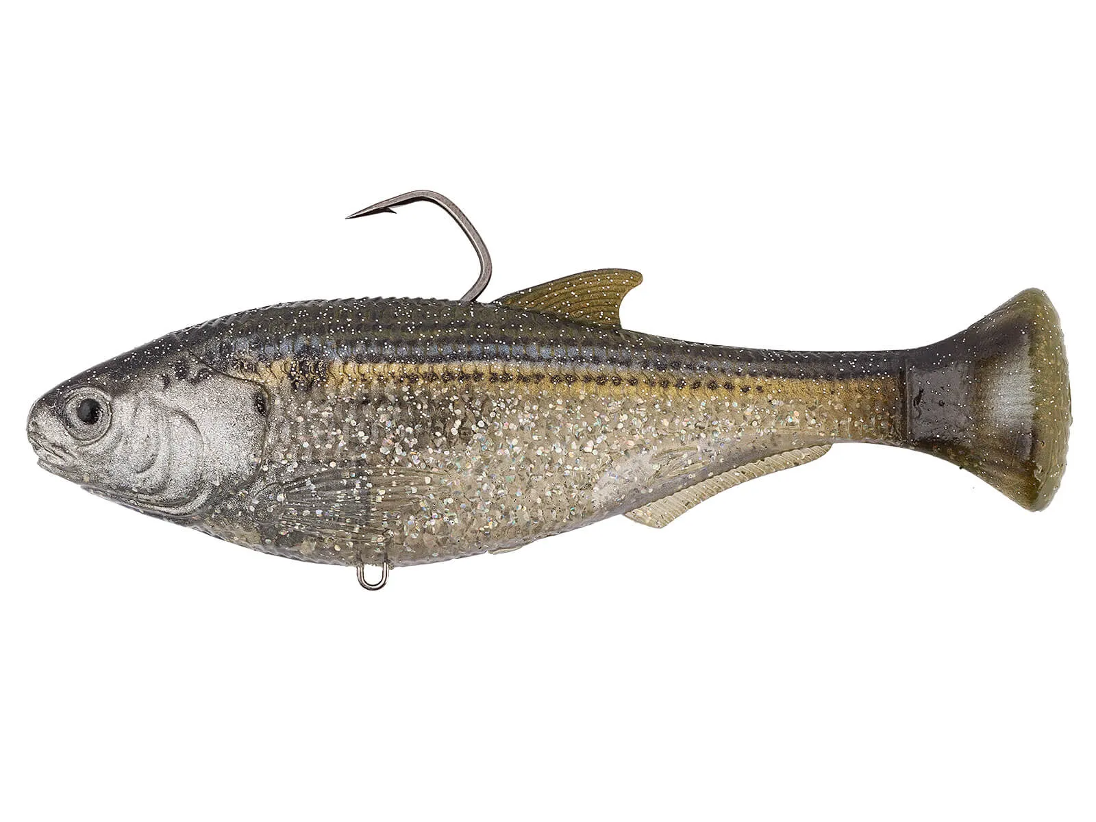 Threadfin Shad
