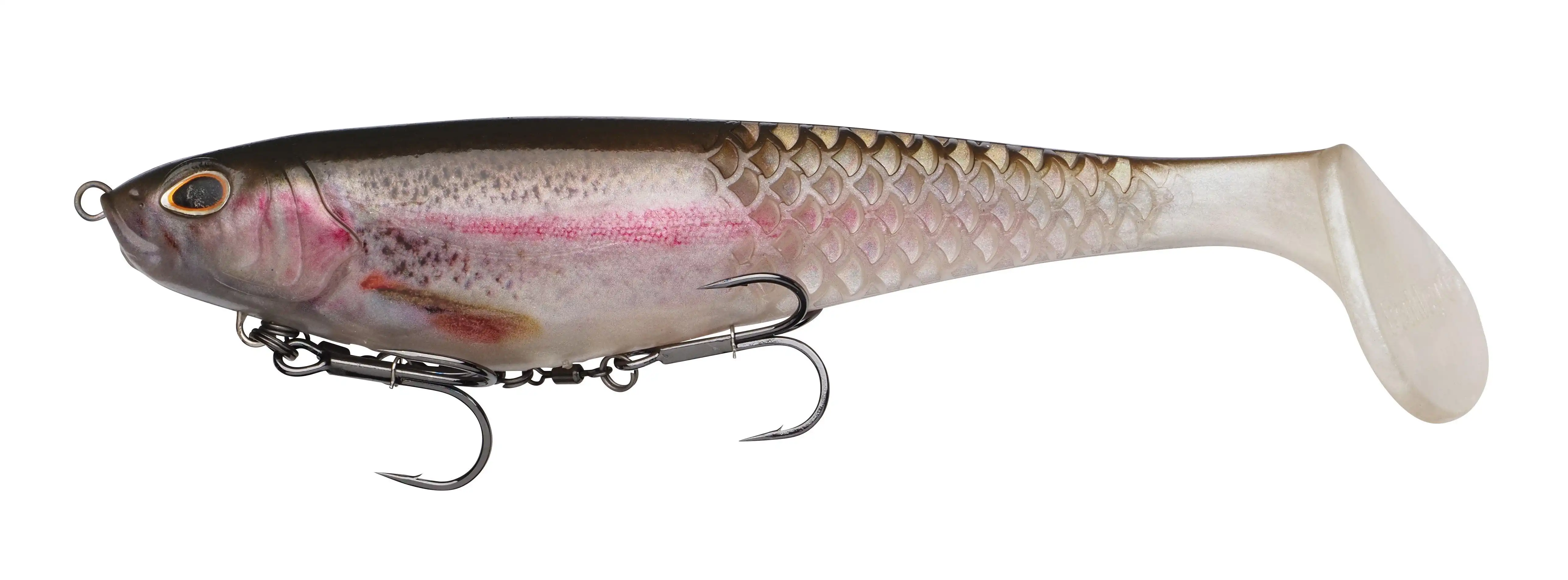 Rainbow Trout