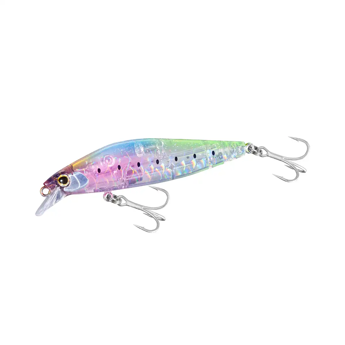 006 Clear Sardine