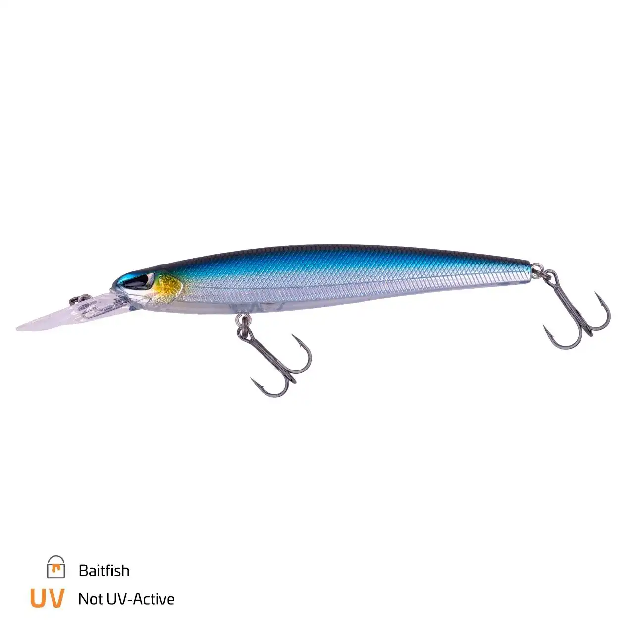 Baitfish