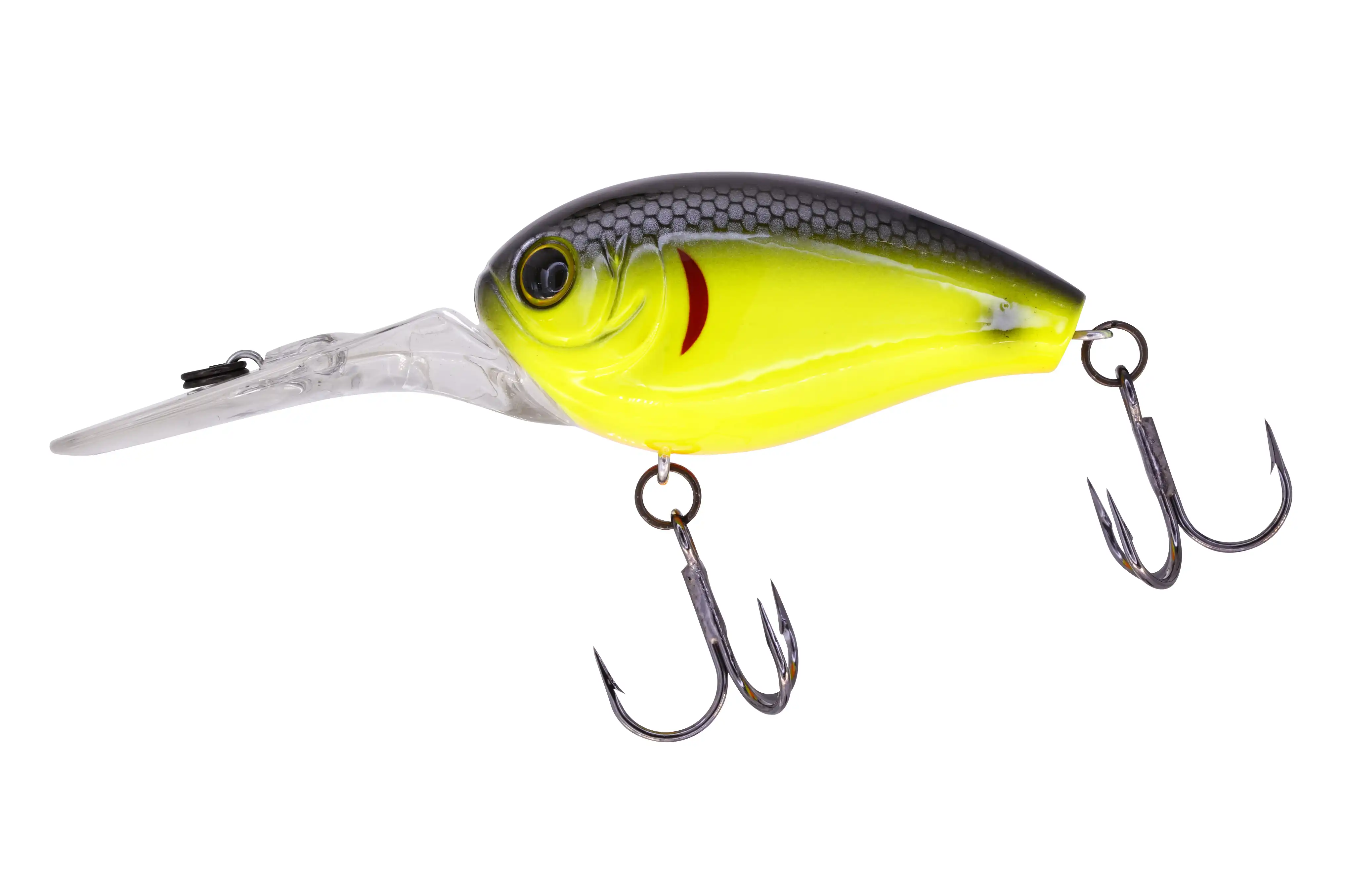 #09 Black Back Chart