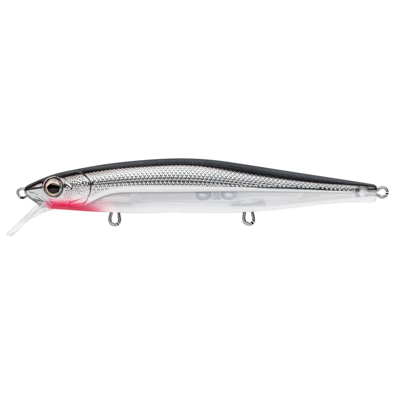 Baitfish