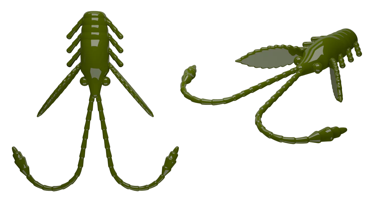 #031 olive