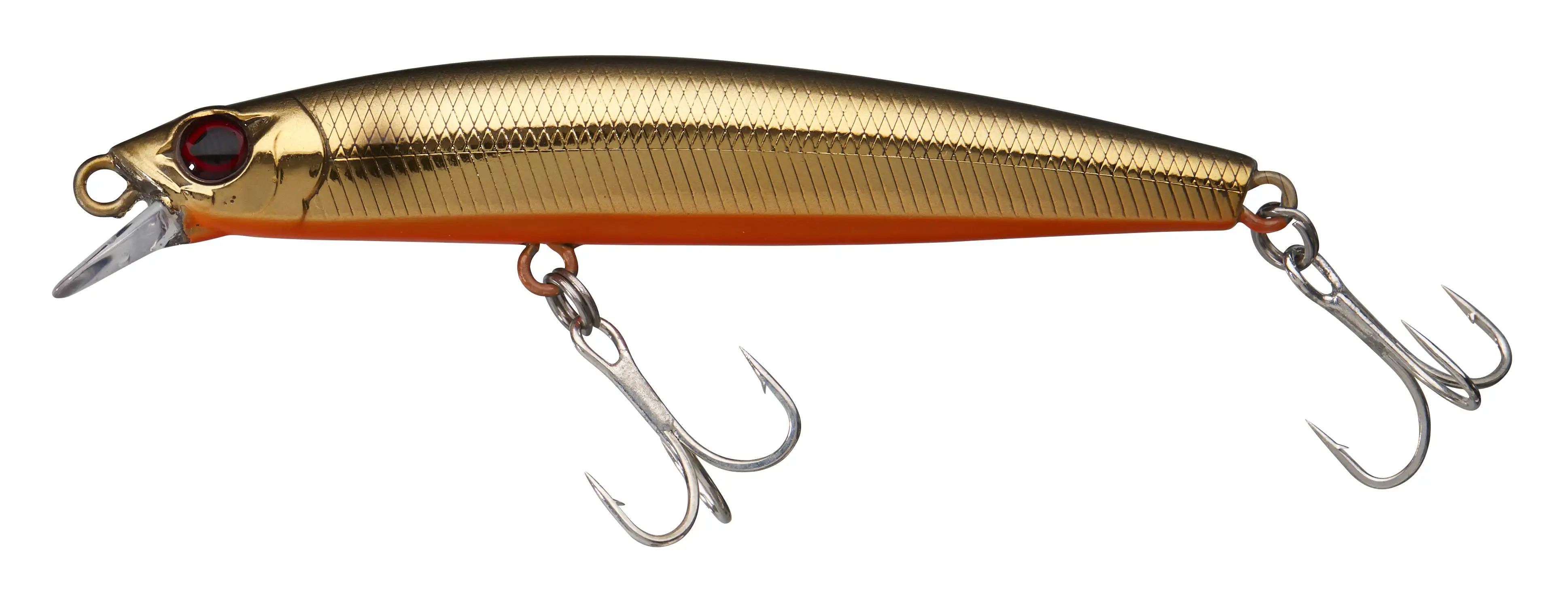 Shiny Muddy Roach