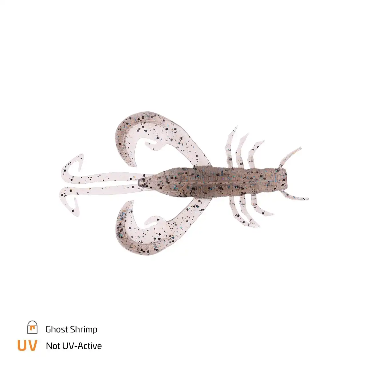 Ghost Shrimp