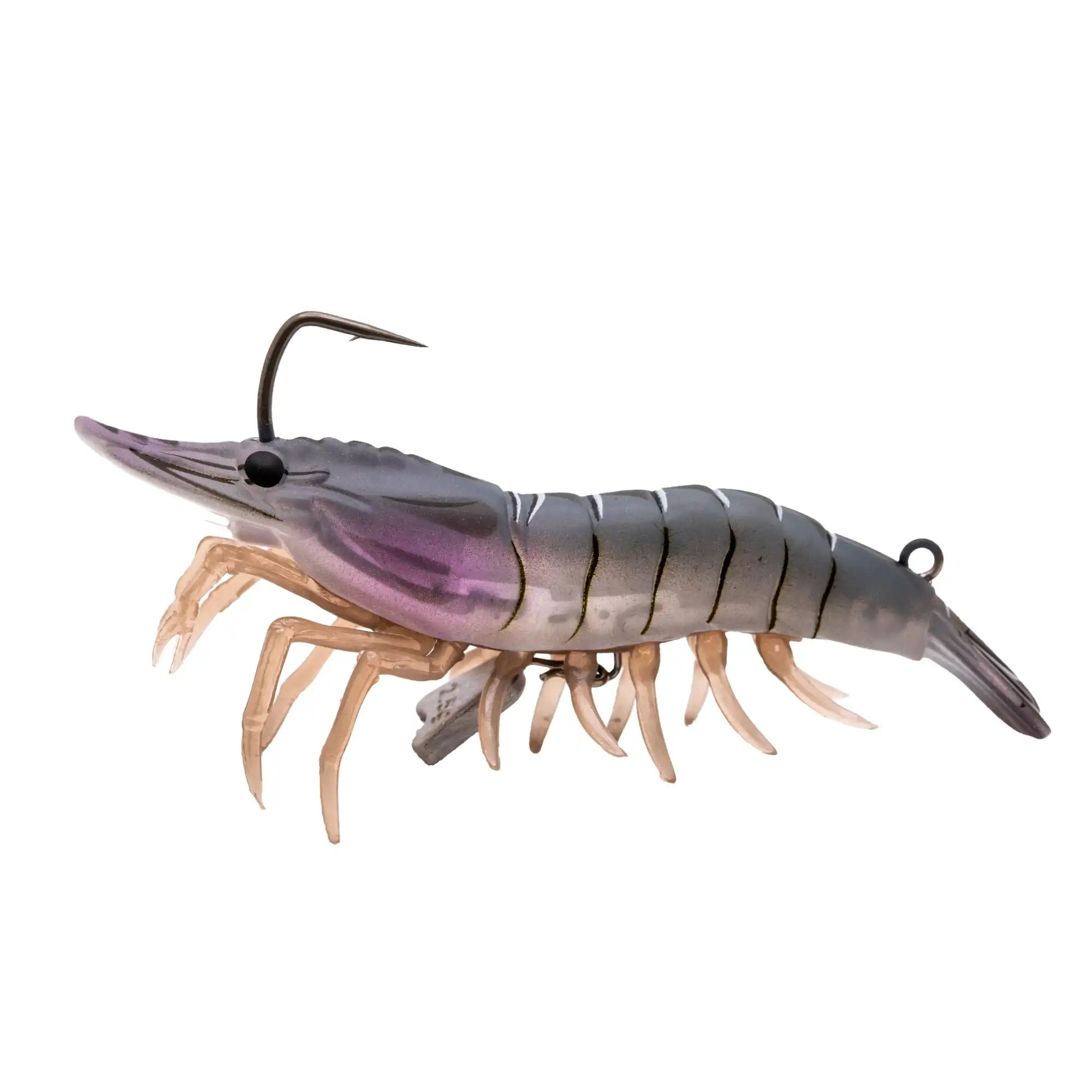 White Shrimp