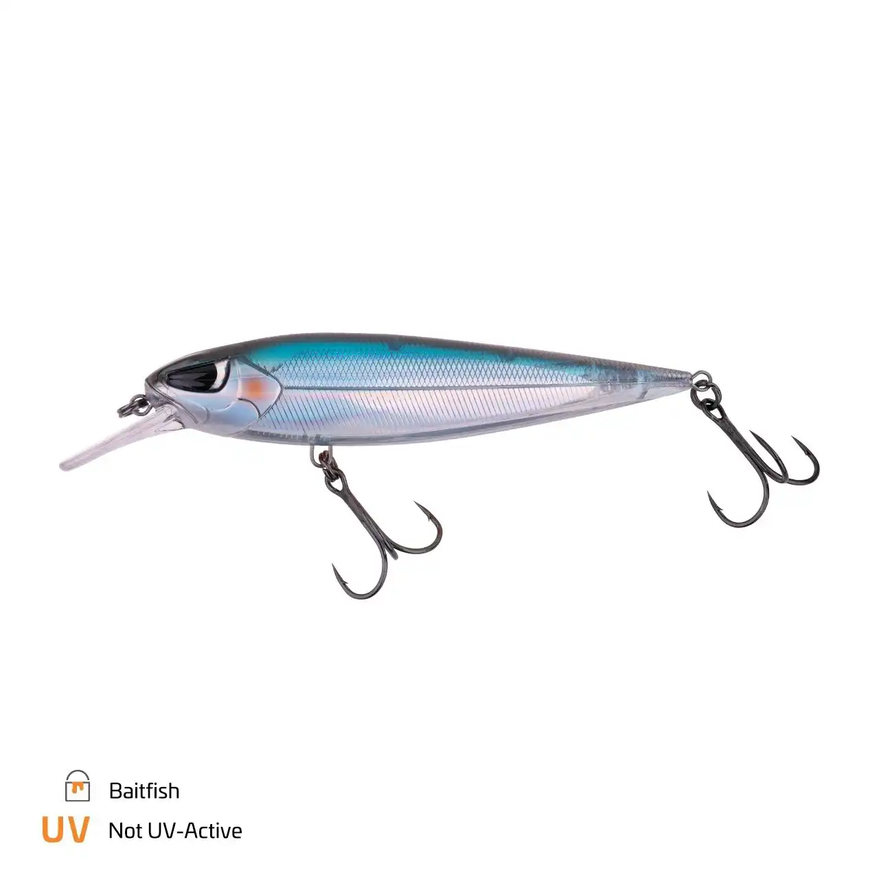 Baitfish