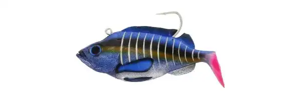 Striped Marlin