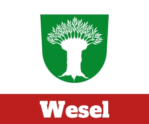 Angeljoe Wesel