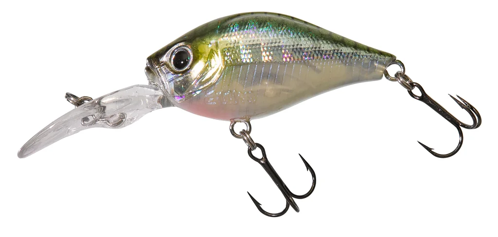HL Minnow