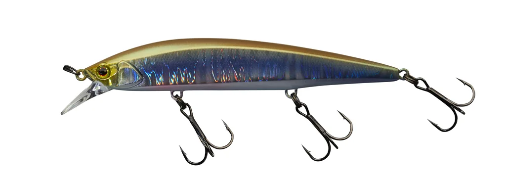 Aurora Baitfish